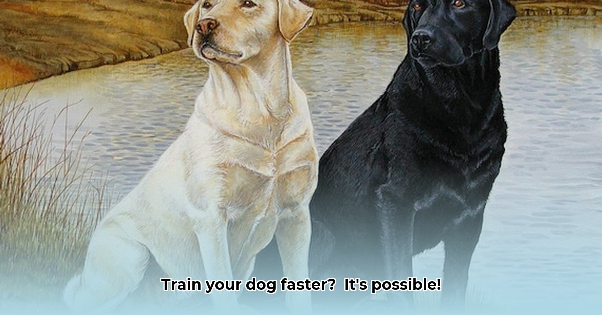 doglab